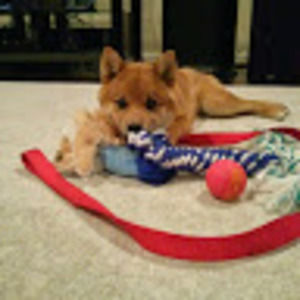 Meet your Posher, Susan